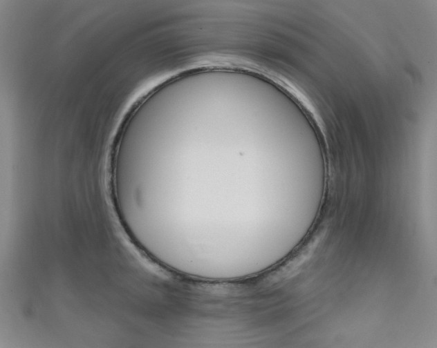 X0000111421045200907131016