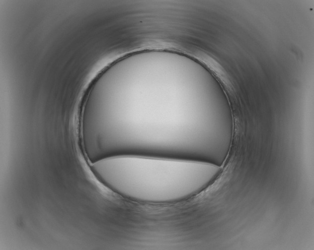 X0000111421046200907131016