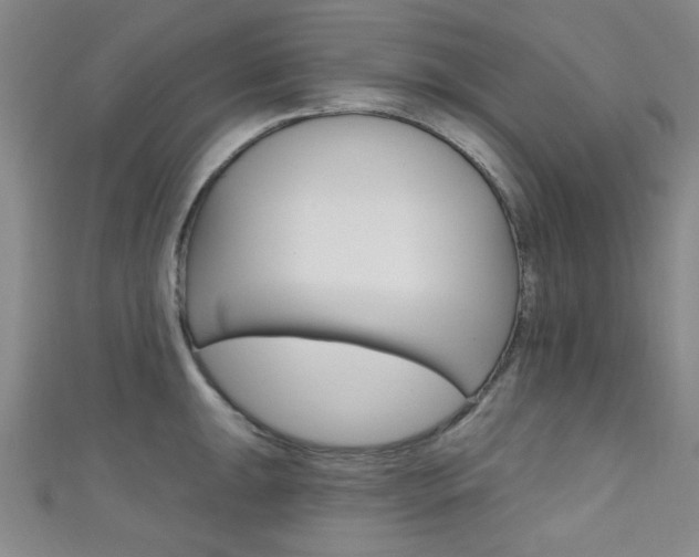 X0000111421047200907131016