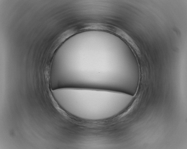 X0000111421049200907131016