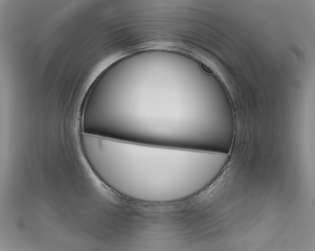 X0000111421050200907131016