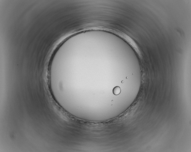 X0000111421051200907131016