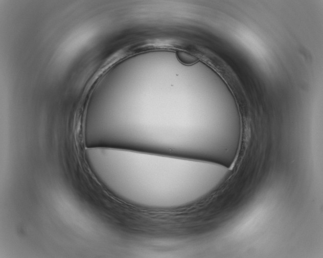 X0000111421052200907131016