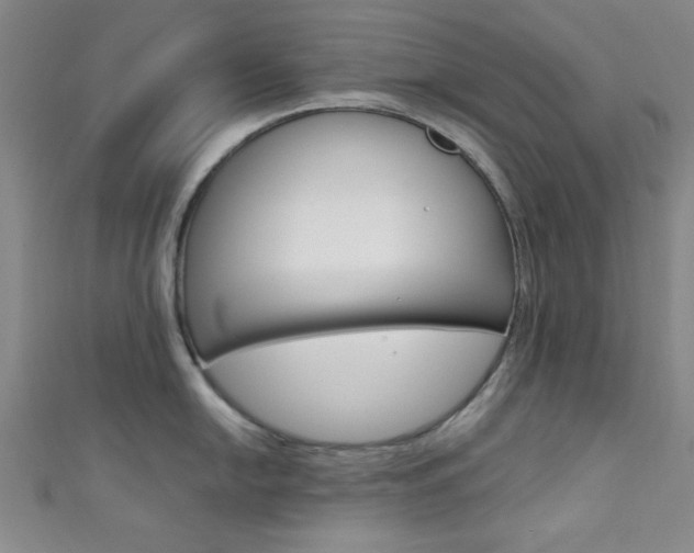 X0000111421054200907131016