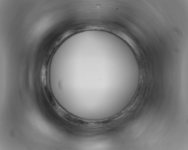 X0000111421055200907131016