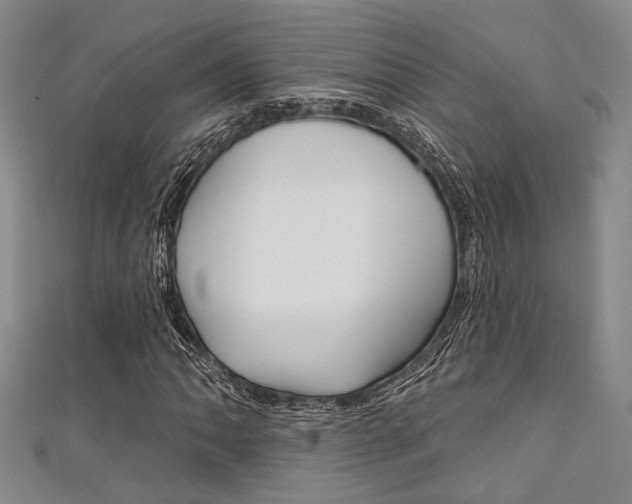 X0000111421062200907131015