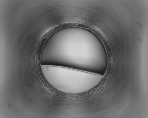 X0000111421064200907131015