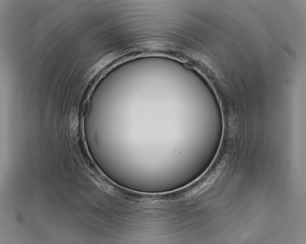 X0000111421065200907131015