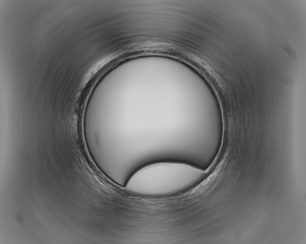 X0000111421066200907131015