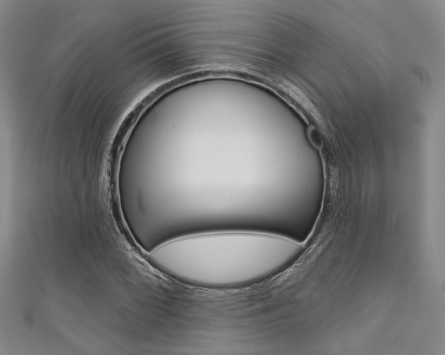 X0000111421068200907131015