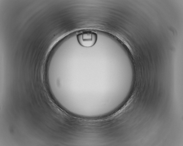 X0000111421069200907131015