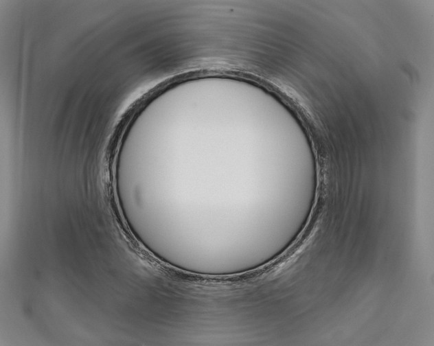 X0000111421070200907131015