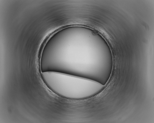X0000111421072200907131015