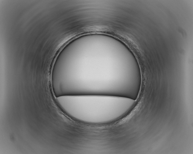 X0000111421073200907131015