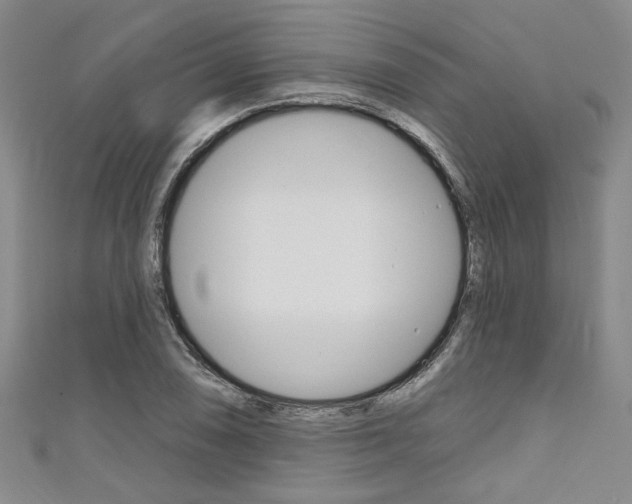 X0000111421074200907131015