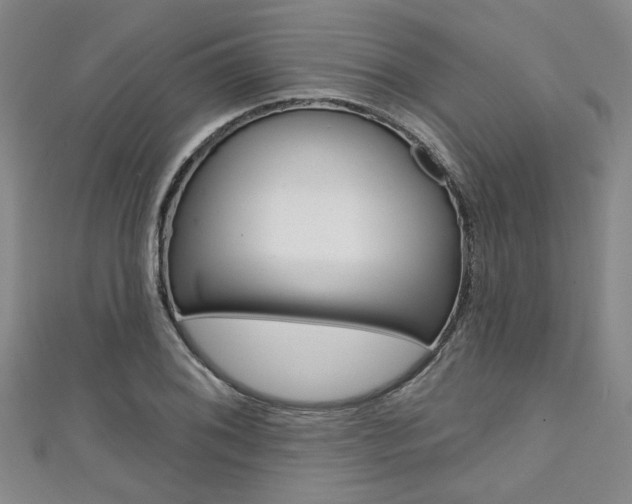 X0000111421076200907131015