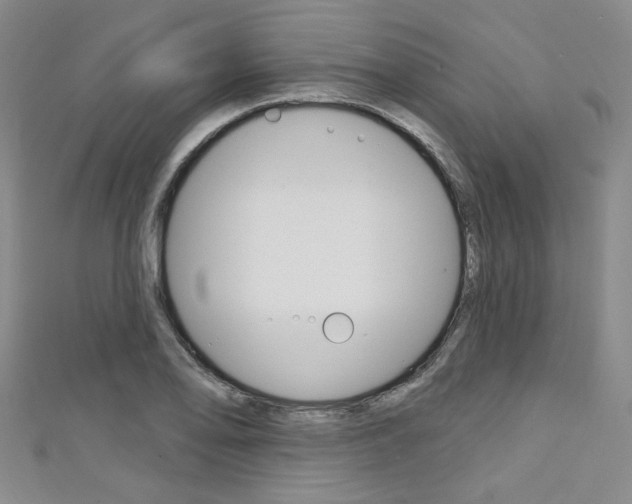 X0000111421078200907131015