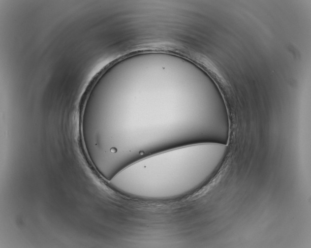 X0000111421079200907131015
