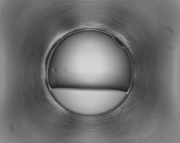 X0000111421080200907131015