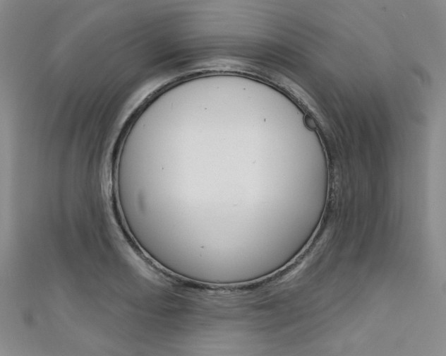 X0000111421082200907131015