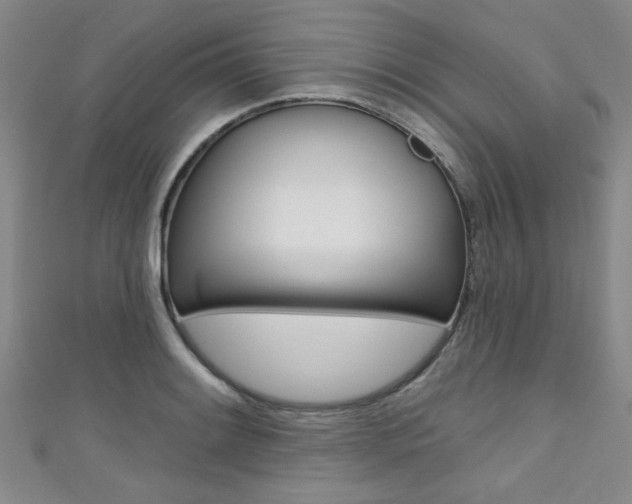 X0000111421084200907131015