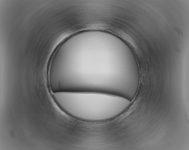 X0000111421087200907131015