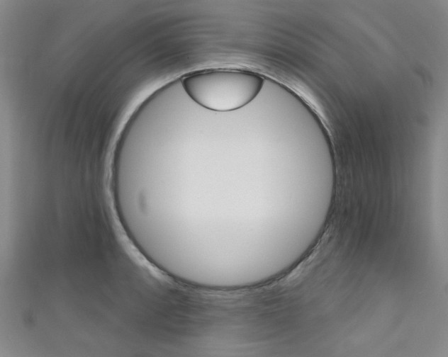 X0000111421088200907131015