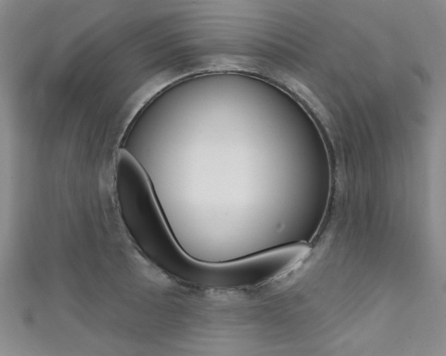 X0000111421089200907131015