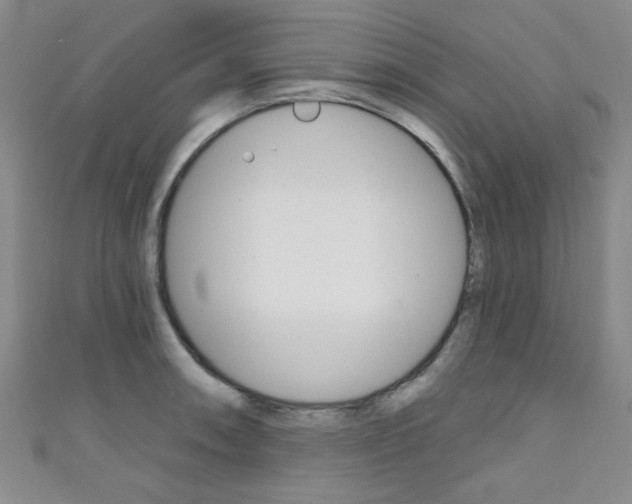 X0000111421090200907131015