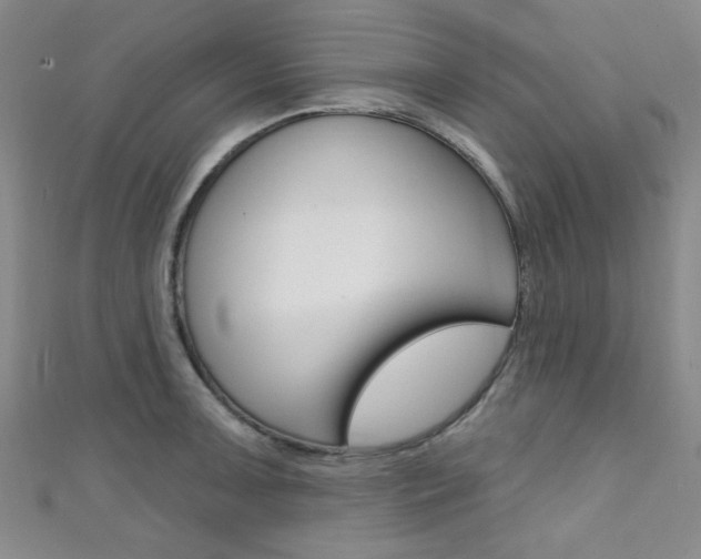 X0000111421091200907131015