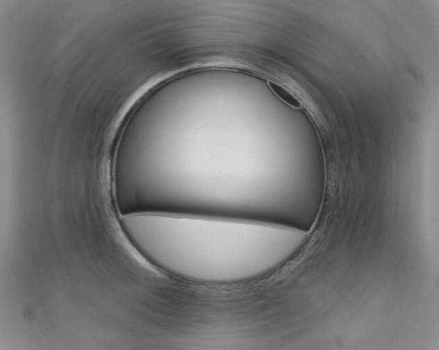 X0000111421092200907131015