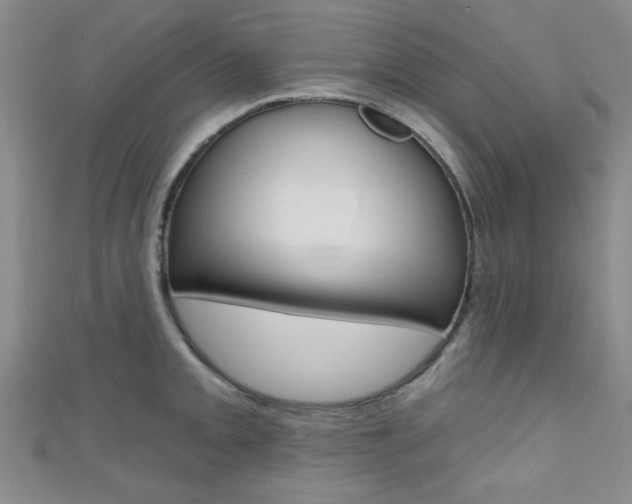 X0000111421093200907131015