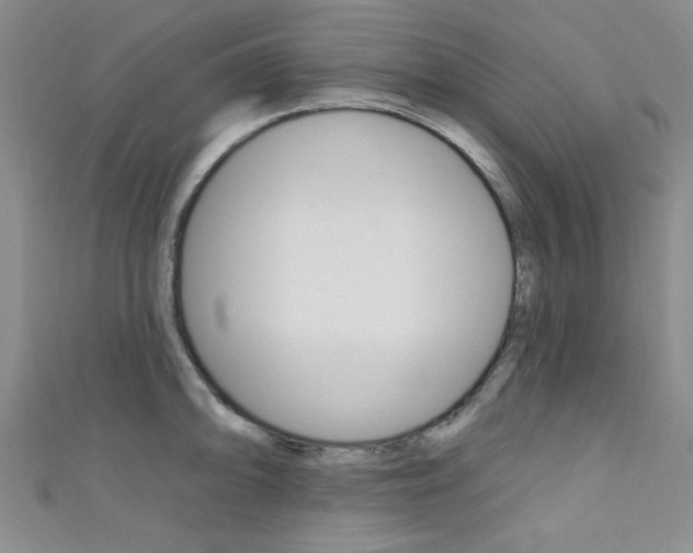 X0000111421094200907131015