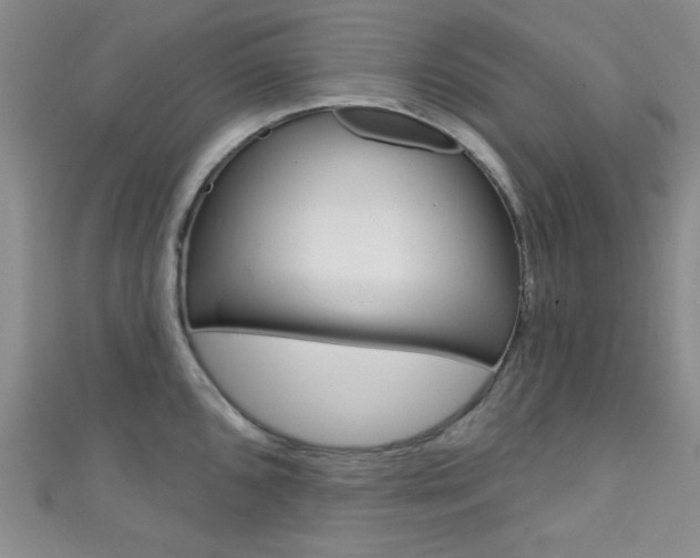 X0000111421096200907131015