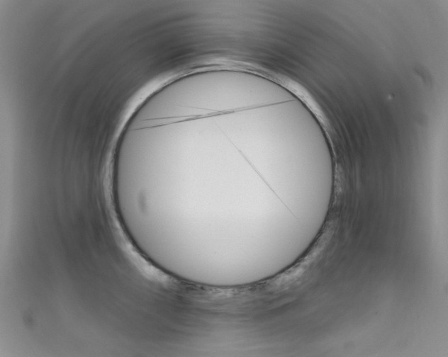 X0000111421098200907131015
