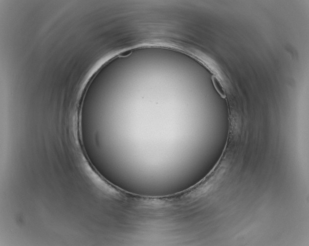 X0000111421100200907131015