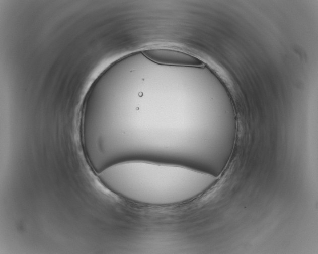 X0000111421102200907131015