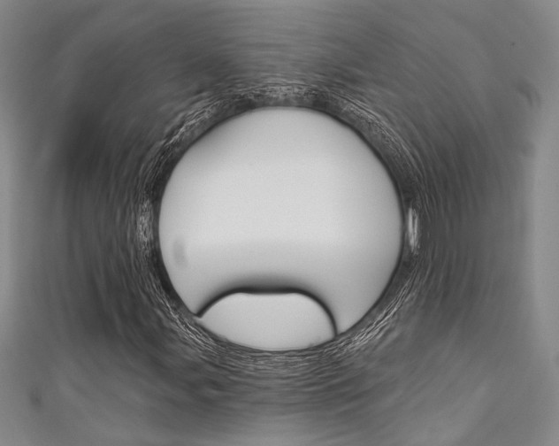 X0000111421107200907131014