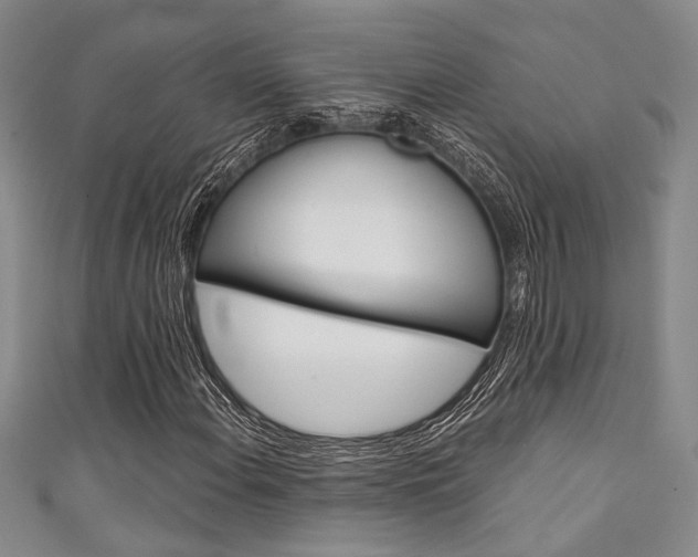 X0000111421108200907131014