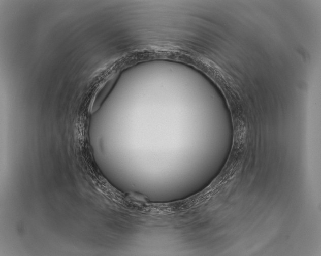 X0000111421110200907131014