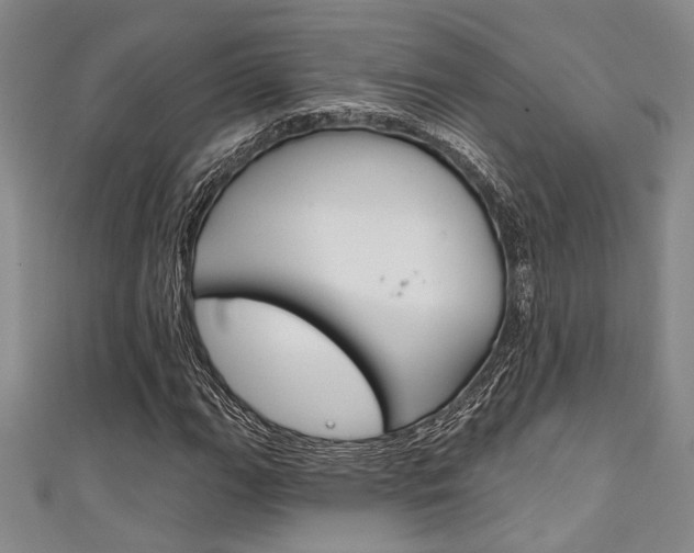 X0000111421111200907131014
