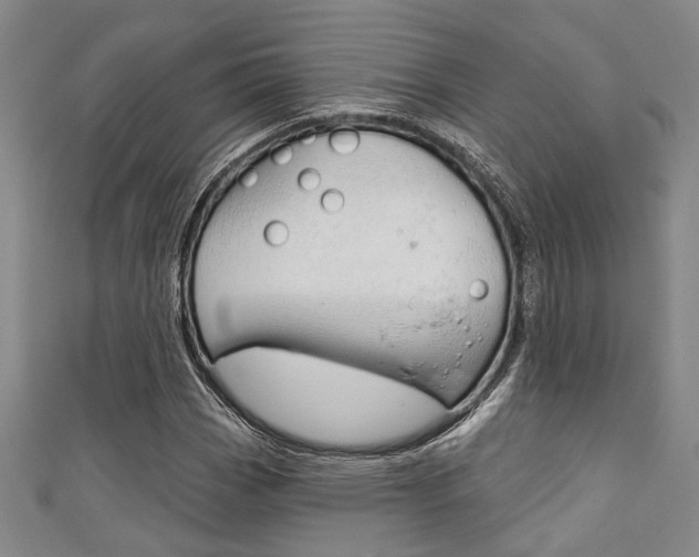 X0000111421113200907131014