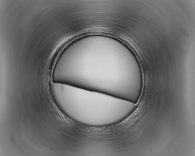 X0000111421115200907131014