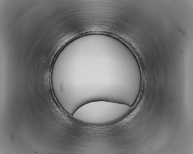 X0000111421121200907131014