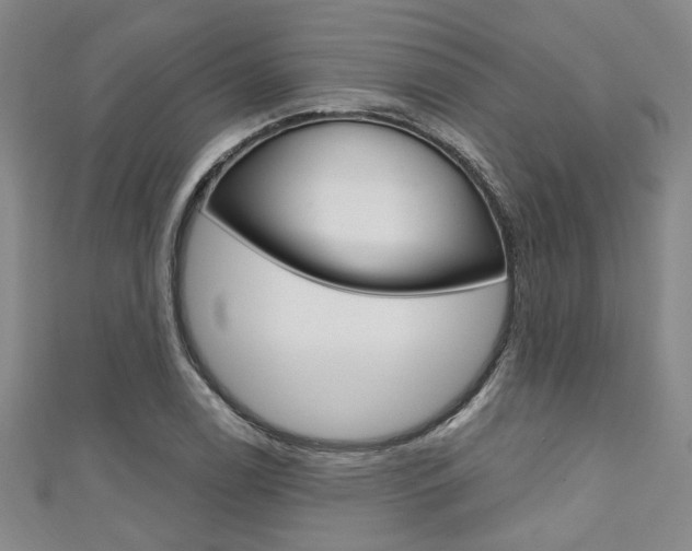 X0000111421122200907131014