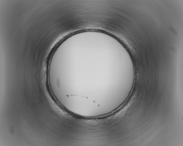 X0000111421126200907131014