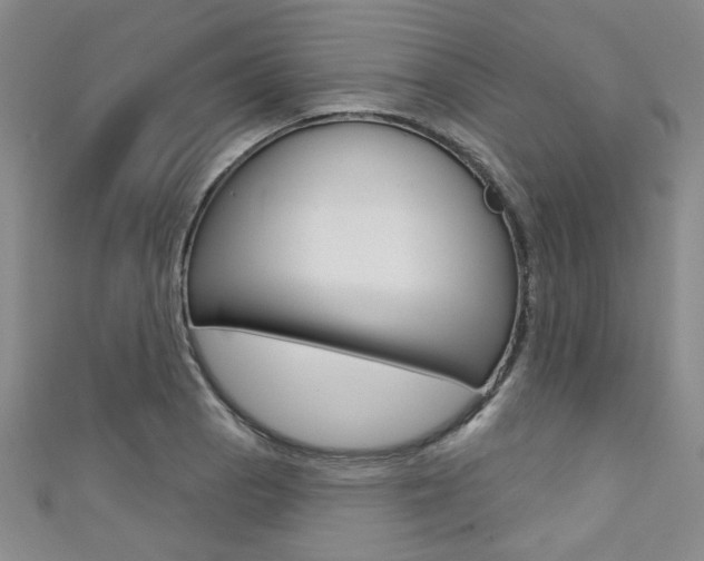 X0000111421129200907131014