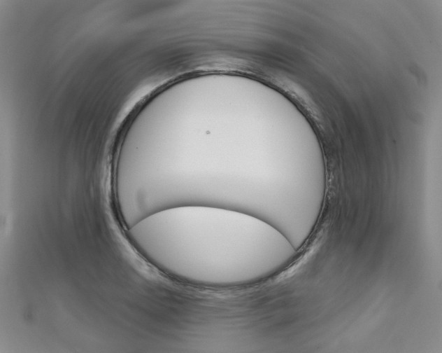 X0000111421130200907131014