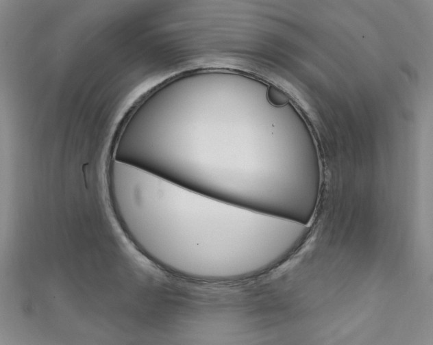 X0000111421133200907131014