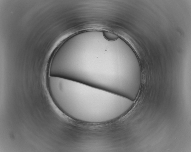 X0000111421139200907131014